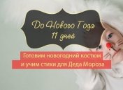 Как все успеть до Нового года: план действий на 21 декабря