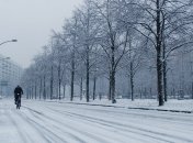 "Весна" скасовується: якої погоди очікувати українцям до кінця тижня