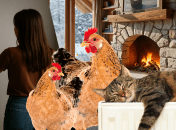 Обігрів будинку під час блекаутів