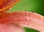 Знойная жара не ожидается: дожди 14-15 июля не покинут Украину