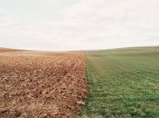 Рада приняла последний закон из пакета земельной реформы: что он изменит