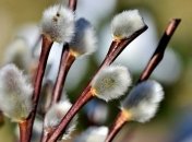 Лазарева суббота: народные поверья и приметы на 11 апреля