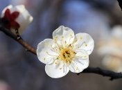 Температурные качели: чем порадует погода в День смеха