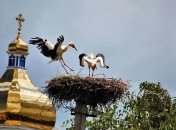 13 сентября - праздник, что категорически запрещено делать, главные приметы