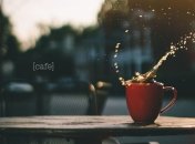 Зеленый кофе: польза и вред 