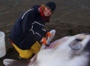 В Тихом океане обнаружили новый вид рыб-гигантов