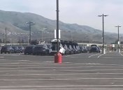 Tesla начала отгрузку Model Y с завода в Калифорнии