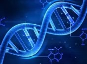 Ученые: CRISPR/Cas9 может вызывать нежелательные мутации и делеции в ДНК 