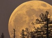 Сегодня вечером украинцы смогут наблюдать Суперлуну