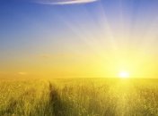 Прогноз погоды в Украине на 25 июля: жара усилится до +36