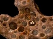 Ученые обнаружили пузырьки кислорода древних бактерий