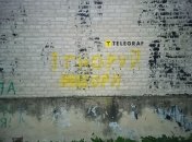 Псевдовыборы пройдут уже на этой неделе