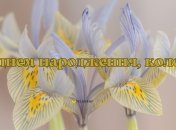 C днем рождения от коллектива