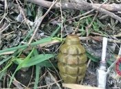 В Мариуполе на территории школы нашли гранату и патроны