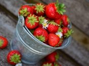 Когда подешевеет клубника в Украине