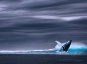 ЕС выделит 300 млн евро на защиту Мирового океана