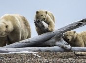 ООН бьет тревогу: нужно срочно сократить выбросы углекислого газа