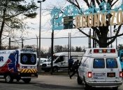 В зоопарке Нью-Йорка тигр заболел коронавирусом