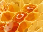 Медовый массаж для похудения