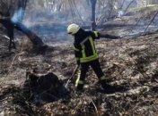 На Донетчине возникло возгорание травы: пострадал мужчина