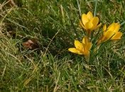 11 марта - приметы и обряды в День Порфирия