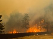 Пожары в Забайкалье приблизились к Чите