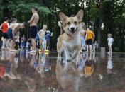 Спека і короткочасні дощі: синоптик розповіла про погоду в Україні у вихідні