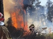 "Отступать, как и спартанцам, некуда": украинские спасатели тушат пожары в Греции (фото,видео)