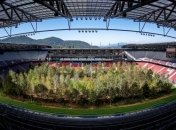 В Австрии на стадионе художник посадил 300 деревьев (Видео)