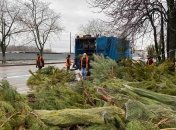 Покинуті дерева довелося забирати комунальникам