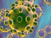 В Германии растет количество инфицированных на коронавирус: последние данные