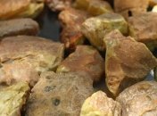 На Рівненщині СБУ затримала групу бурштинокопачів