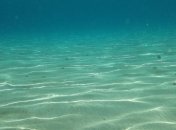 Ученые назвали причину проседания океанического дна