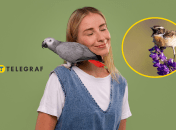 Дівчина з папугою