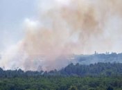 Масштабный пожар на Хортице: огонь тушат даже женщины (фото)