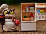 Сова пропонує їжу з холодильника