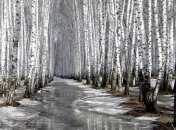 Прогноз погоды на 6 марта: мокрый снег и ночные заморозки до -4