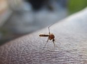 Более миллиарда человек под угрозой: глобальное потепление приведет к распространению вирусных заболеваний