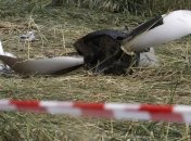 Гражданин Украины погиб в результате крушения вертолета в России 