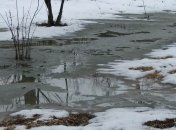 Погода в Украине на 30 января: в стране сохранится плюсовая температура