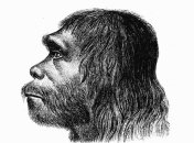 Неандертальцы тоже болели раком