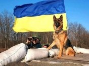 Прапор України знову майорить над частиною раніше окупованих територій