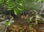 Палеонтологи обнаружили новый вид ископаемой ящерицы