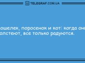 От улыбки станет всем светлей: смешные анекдоты 