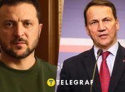 Владимир Зеленский и Радослав Сикорский