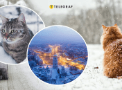 Снег в Украине