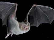 Ученые назвали место на планете, несущее большую угрозу для здоровья человечества