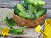 Какой праздник 27 мая: народные приметы и запреты