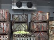 Румынские производители консервов сократили производство