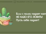 Наполните свой дом смехом: вечерние анекдоты 7 февраля